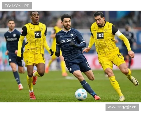 德甲多队主力阵容大换血，新赛季竞争格局生变