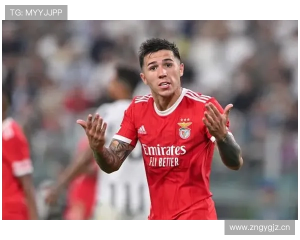 恩佐·费尔南德斯在阿根廷国家队的主力地位分析 恩佐·费尔南德斯在阿根廷国家队的主力地位分析