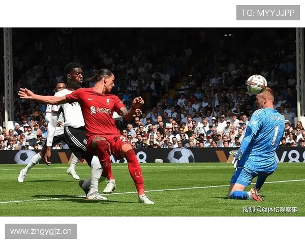 努涅斯与阿尔瓦雷斯:终结效率与比赛参与度的结构性对比