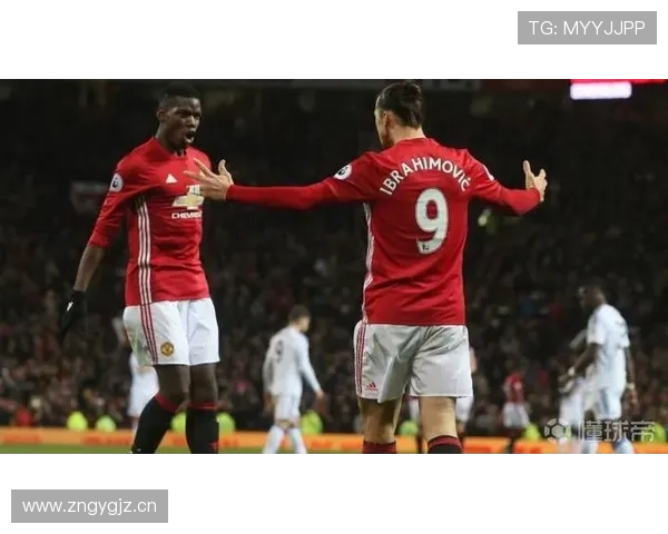 卢卡库与伊布前插频率分化下的终结结构变化