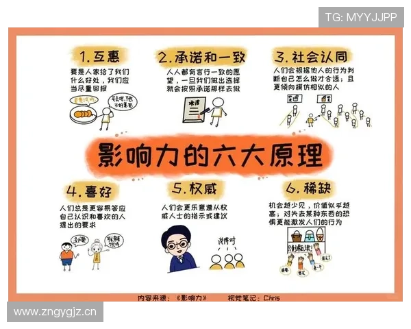 杜埃效率与影响力解析：是否被高估？