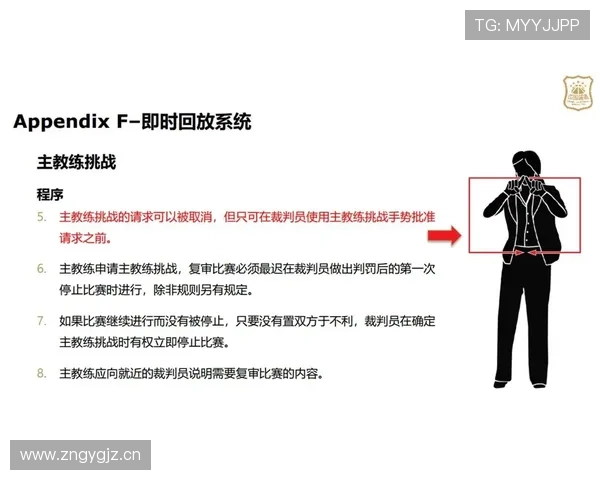 如何正确理解教练技术犯规规则，详解判罚标准与球队的具体影响